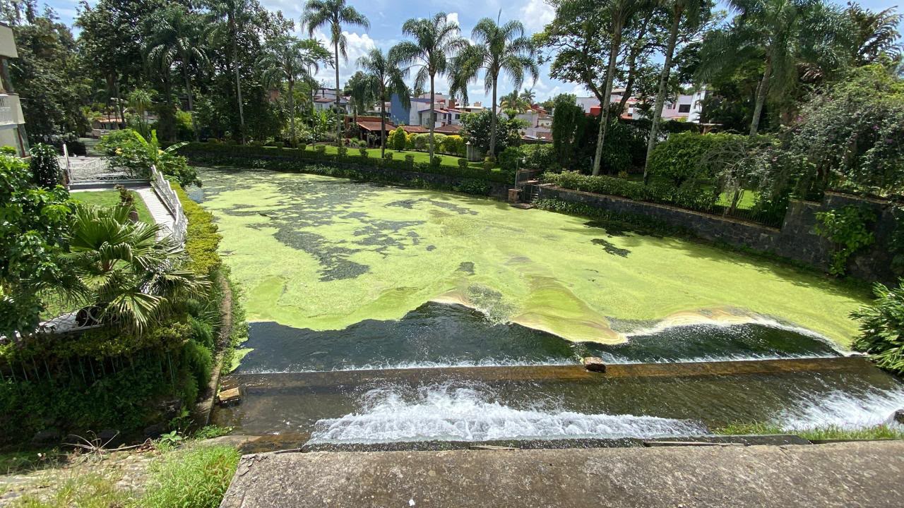 Aumenta contaminación en los lagos de Las Ánimas
