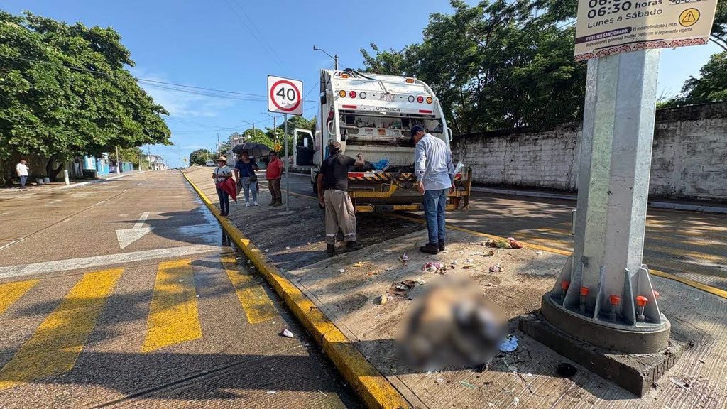 Basura Coatzacoalcos 