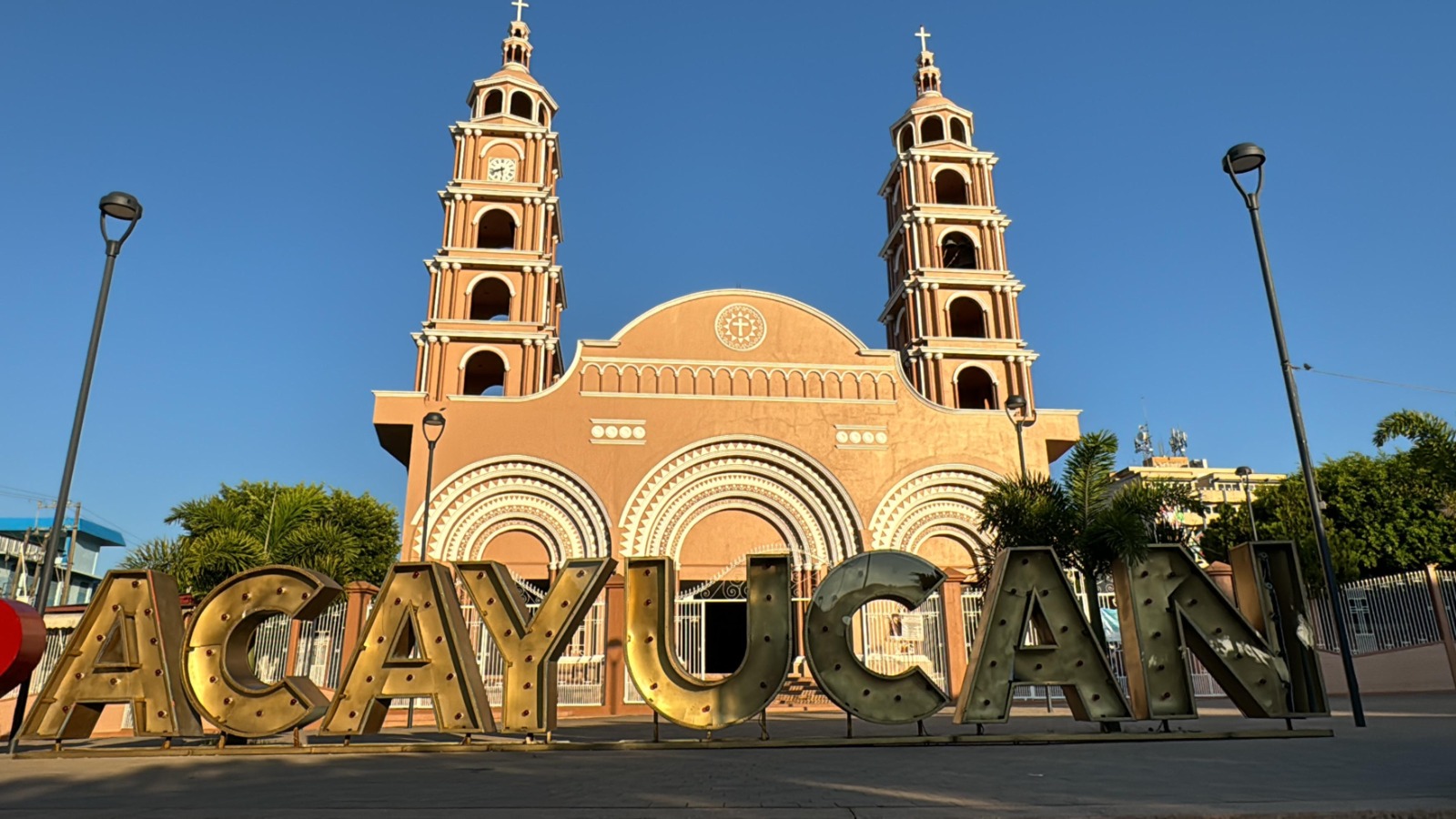 En Acayucan hay perros abandonados y enfermos por maltrato animal: AC