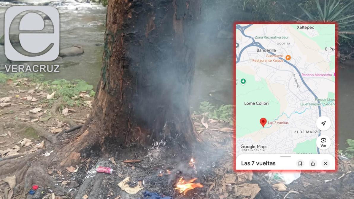 Denuncian tala y quema de árboles protegidos en Banderilla