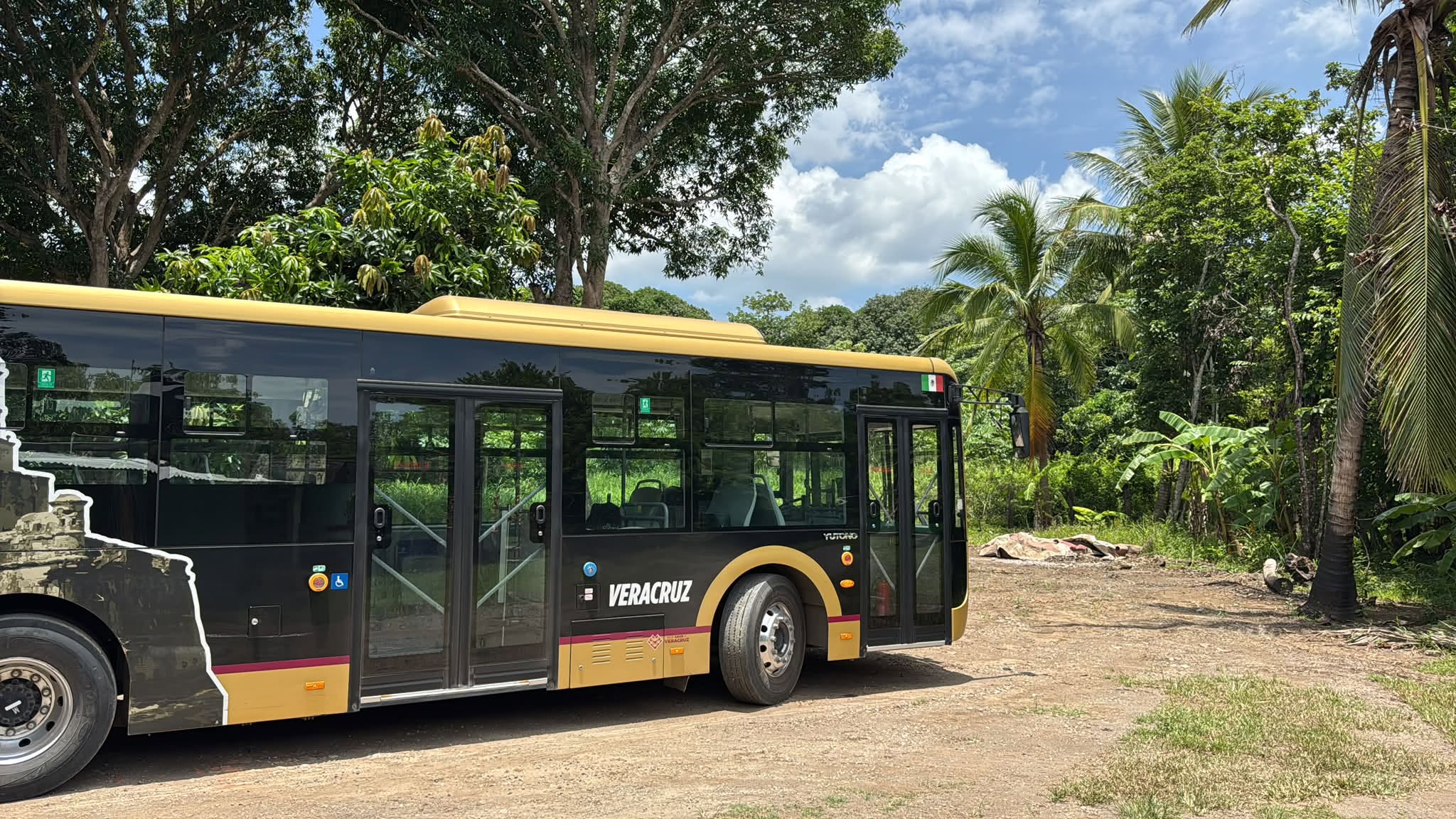 Línea Ulúa sumará 4 autobuses para la zona norte del puerto de Veracruz