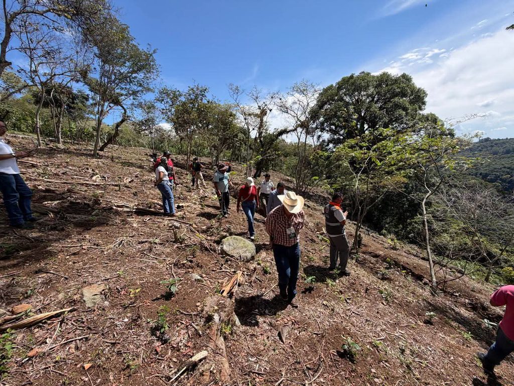 Alertan por riesgo de deslaves en la Barranca de Matlacobatl; vigilan desprendimientos
