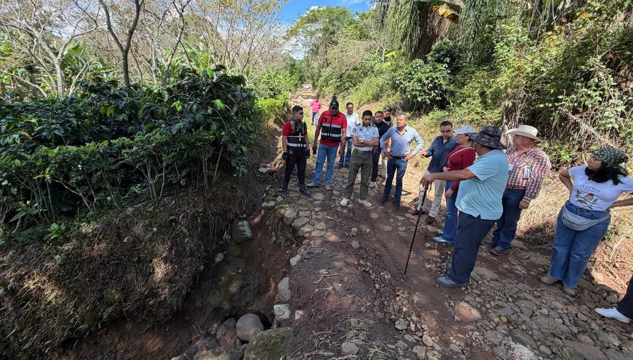 Alertan por riesgo de deslaves en la barranca de matlacobatl; vigilan desprendimientos