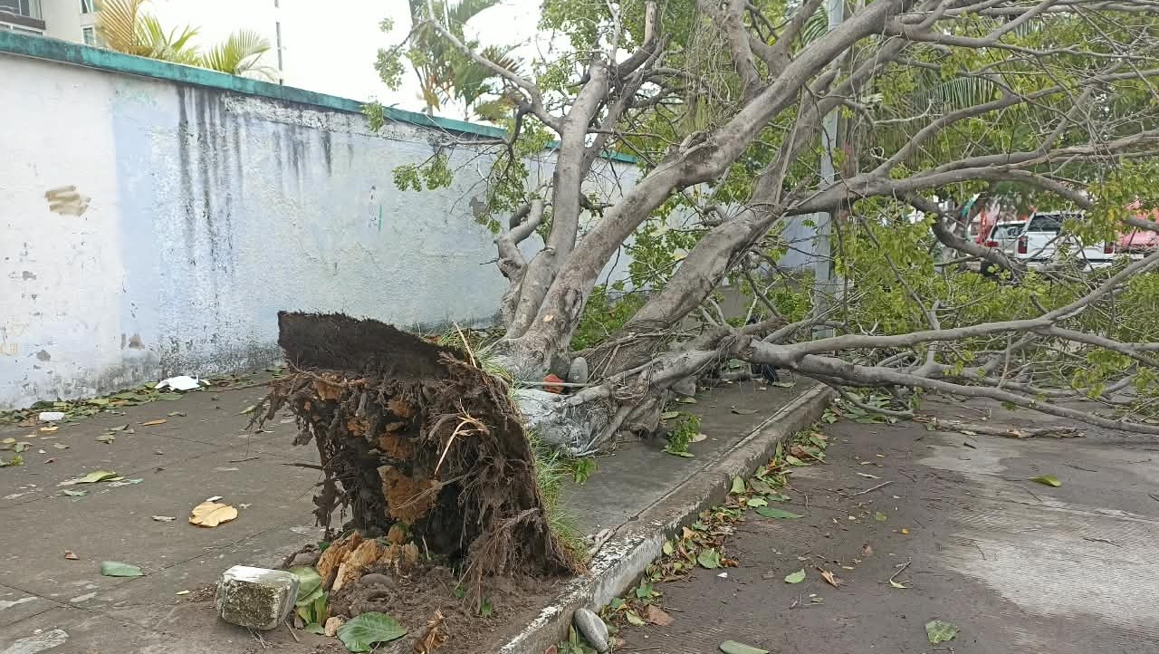 Frente frío 2 deja afectaciones en 32 municipios de Veracruz
