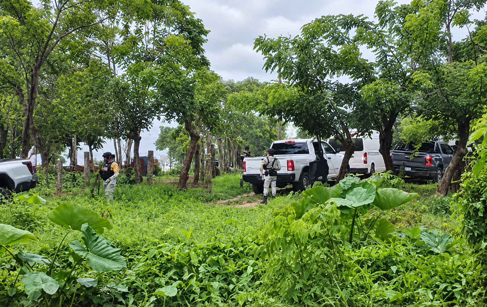 Mueren intoxicados cuatro adultos y dos menores en Las Choapas, Veracruz