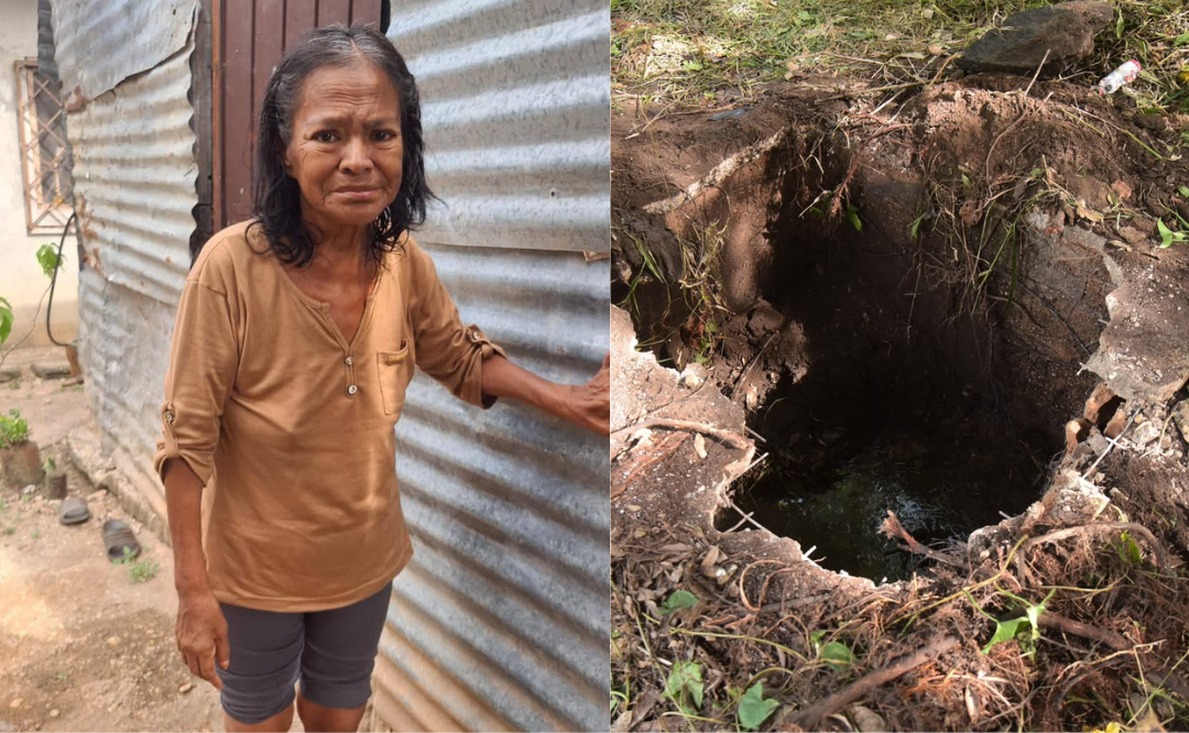 “No era un animal”: Norma fue enterrada clandestinamente en un registro de Oluta