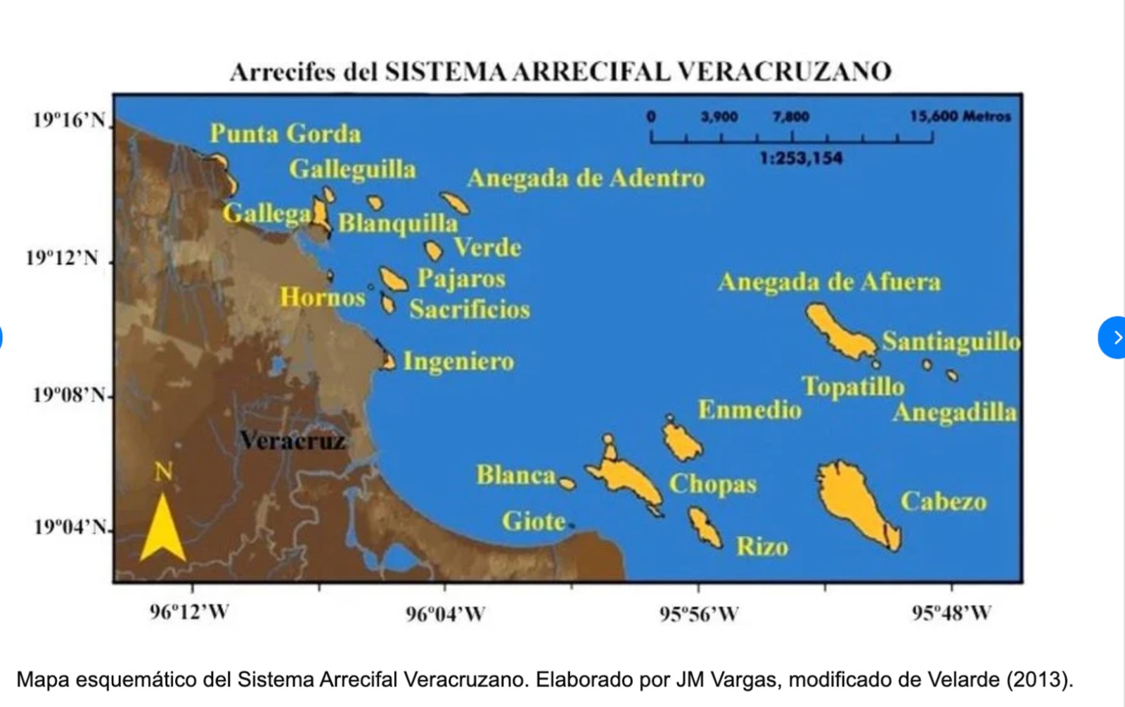 Así las obras del Puerto de Veracruz amenazan con sepultar el arrecife La Gallega, alertan