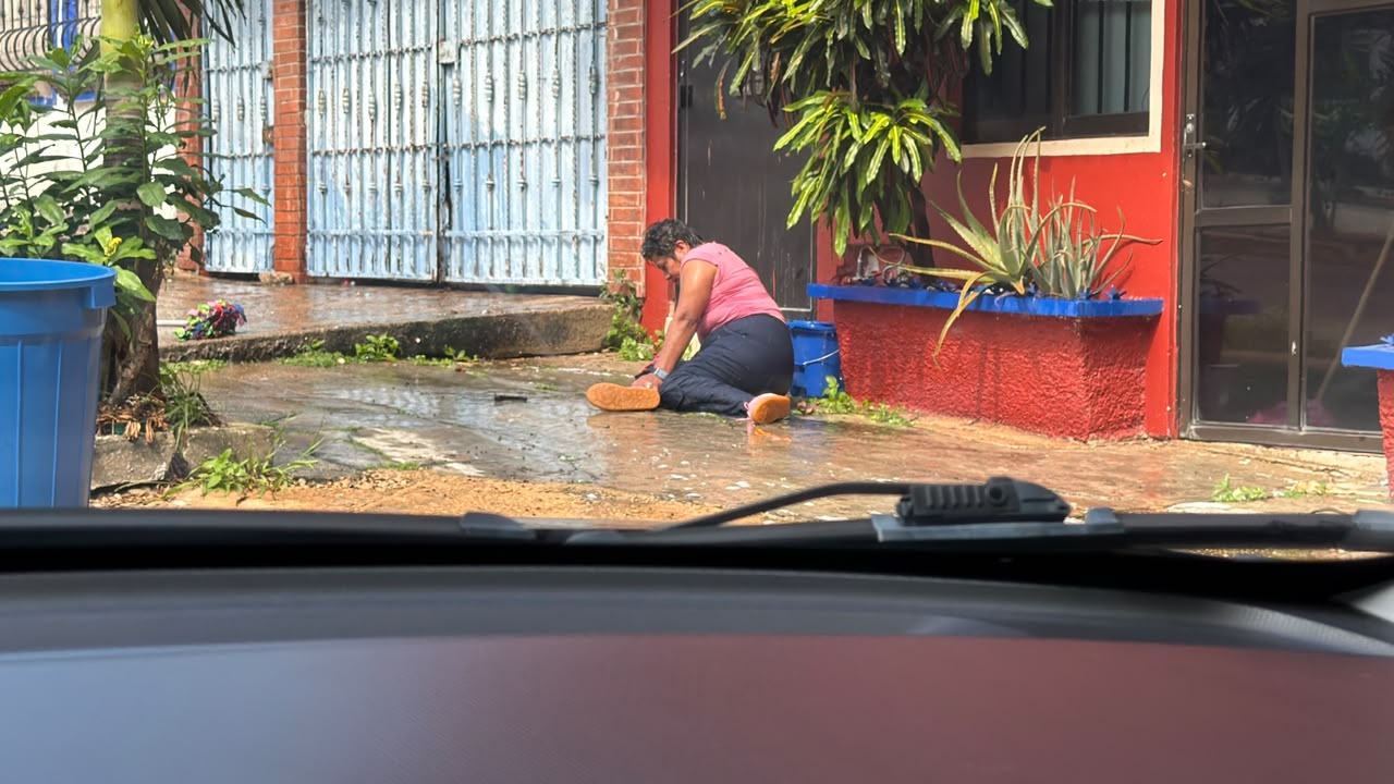Ataque de abejas deja al menos 10 lesionados en el centro de Coatzacoalcos