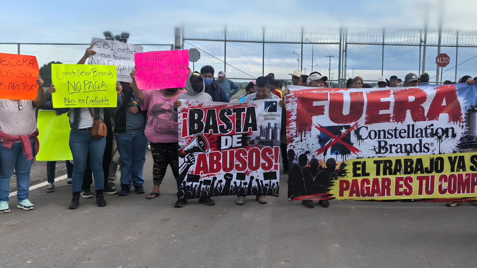 Constellation Brands, impulsada por AMLO, debe meses a sus trabajadores en Veracruz
