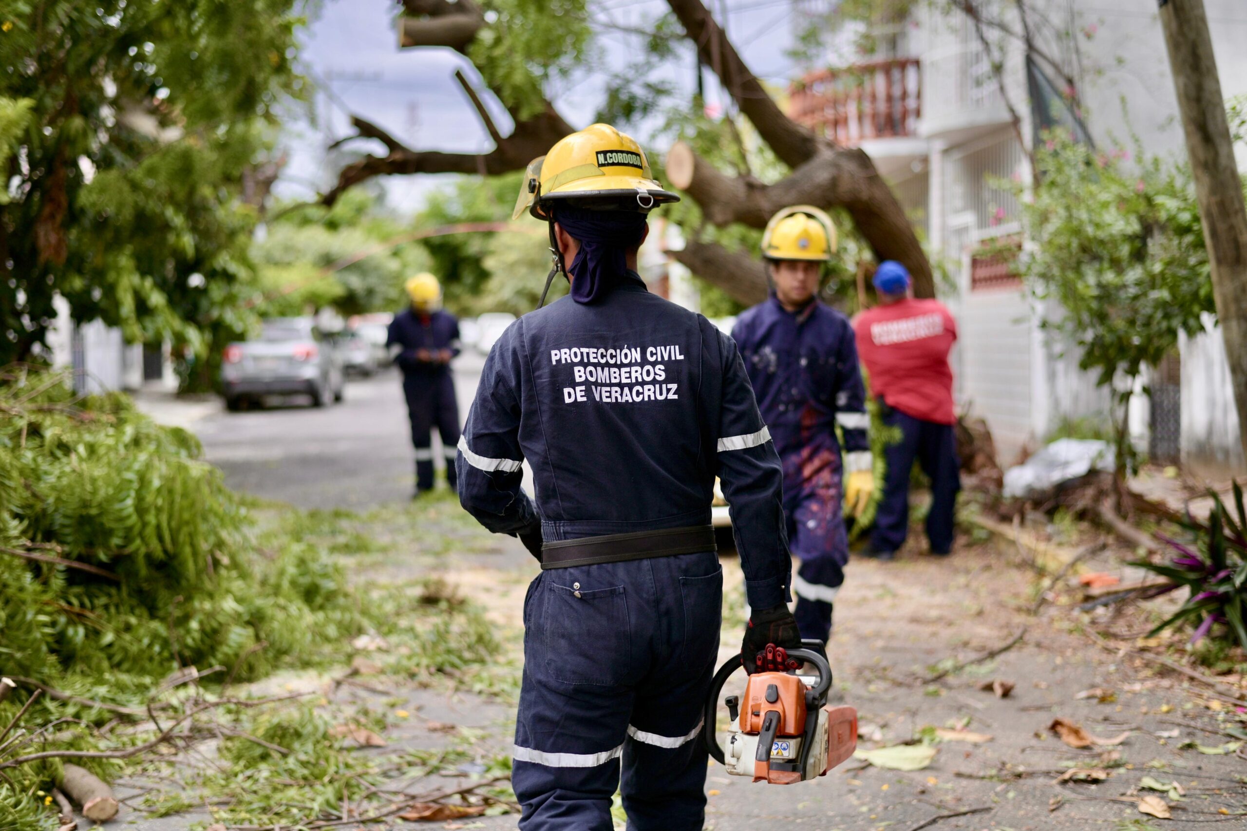 Árboles caídos, apagones y 72 emergencias: el saldo del Frente Frío 2 en Veracruz