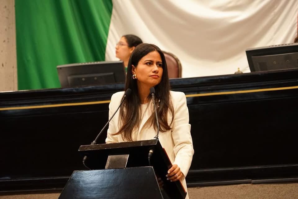 Diputada del PAN propone cambiadores de pañales en baños de restaurantes y plazas de Veracruz