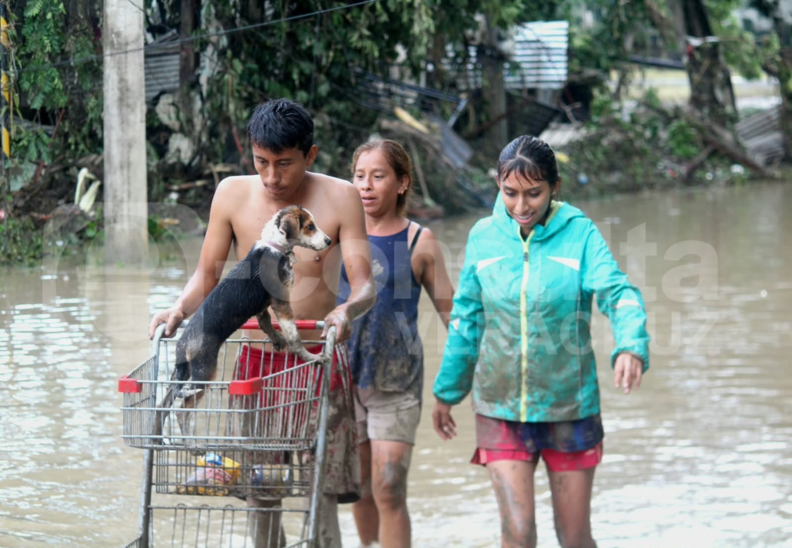 Se desborda arroyo en Álamo y lluvias afectan localidades de Papantla