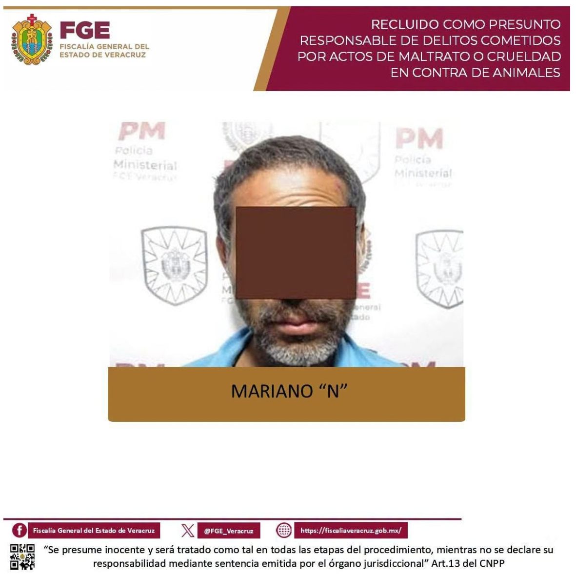 Maltrato animal en Xalapa: reaprehenden a hombre que presuntamente asesinó a felino