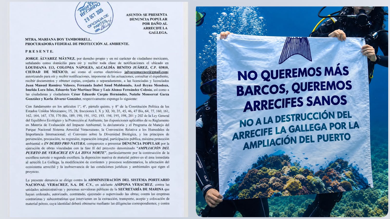 Máynez denuncia daños en arrecife La Gallega por ampliación portuaria